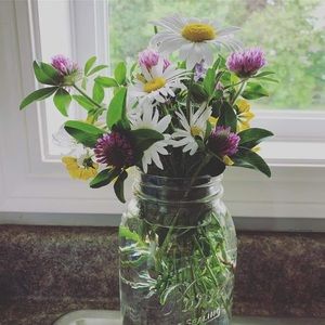 Meet your Posher, Mary